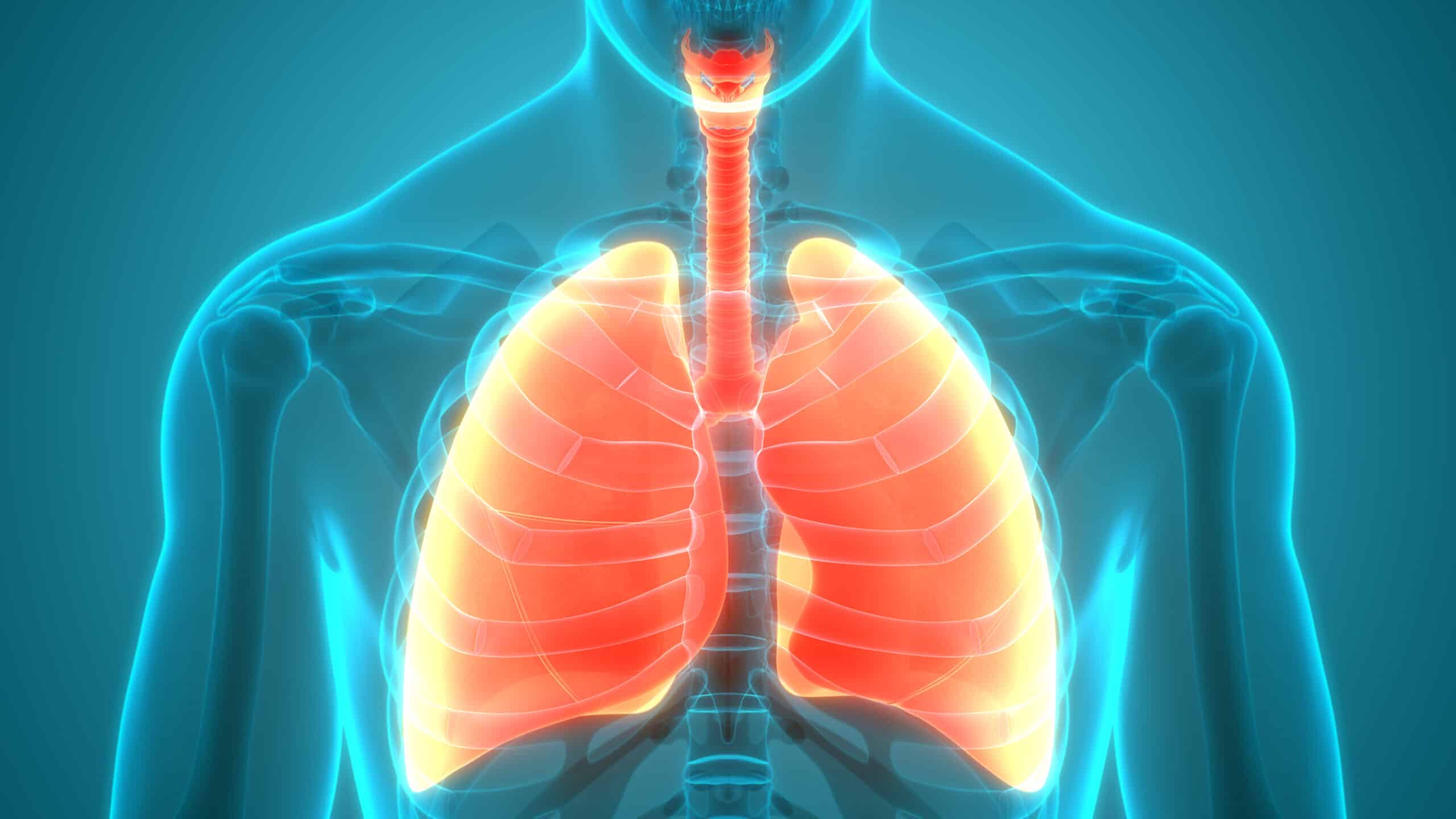 Nano Drug Delivery Offers New Possibilities for Pulmonary Fibrosis