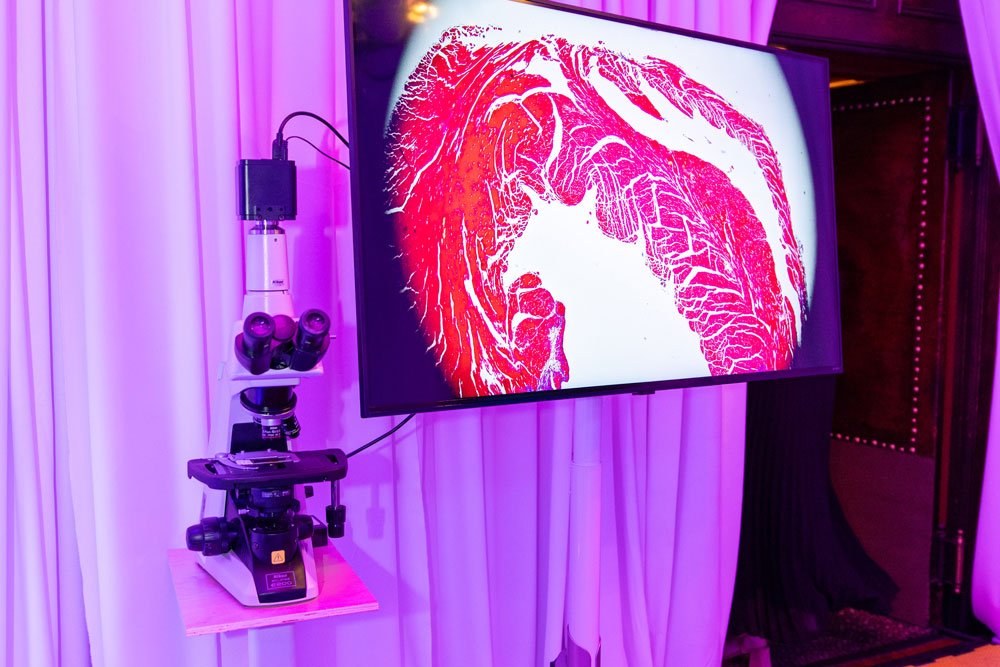Microscope