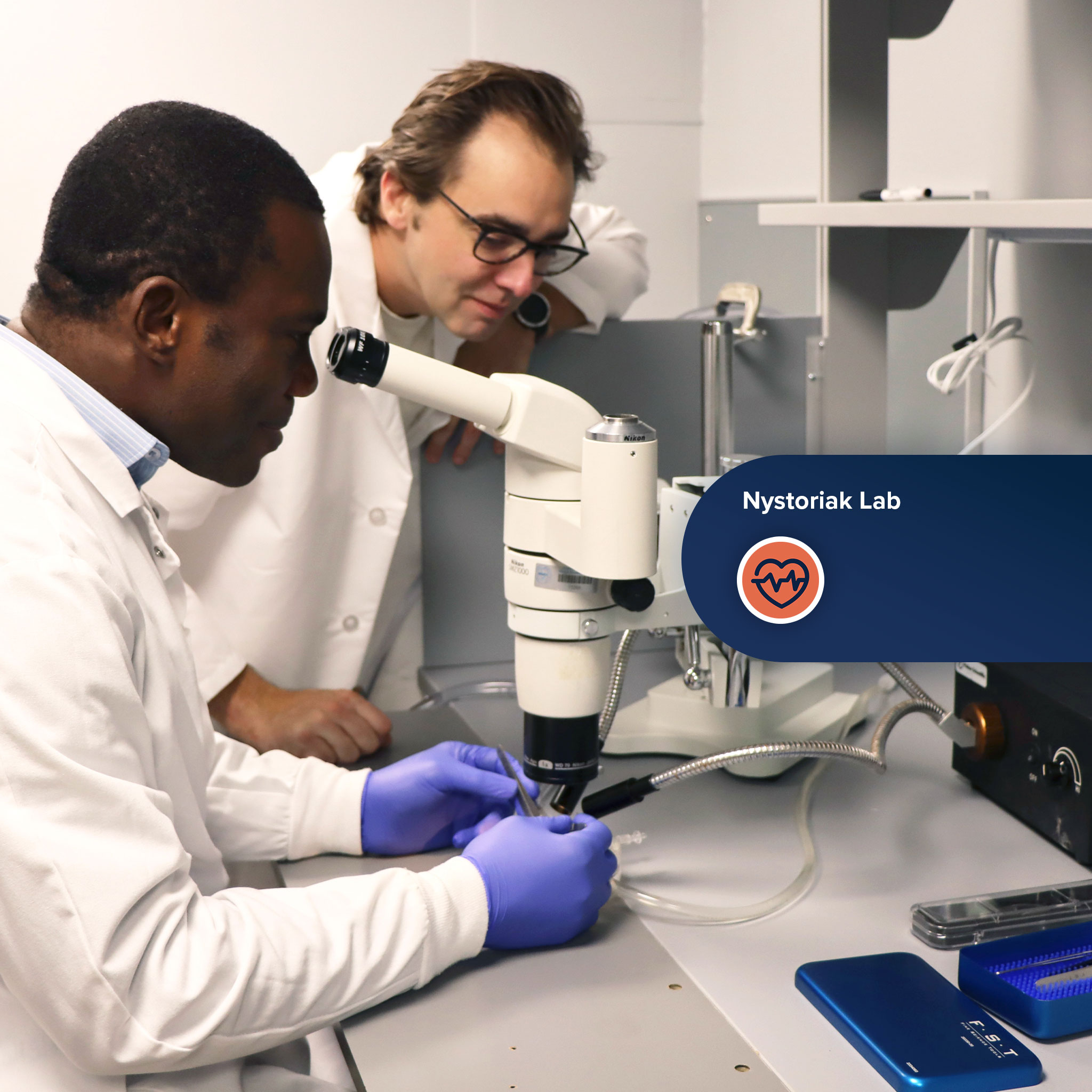 Nystoriak Lab Core Research Areas