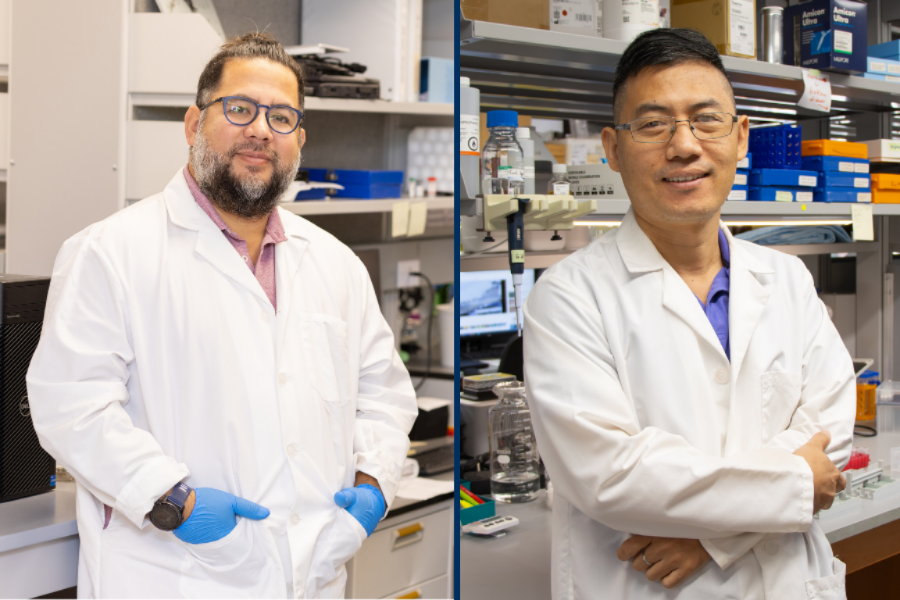 Dr. Kessinger and Dr. Lin in the laboratory