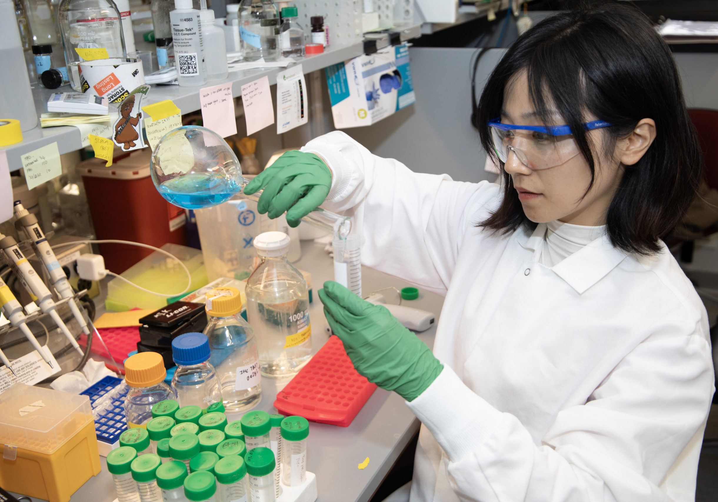 Yan in lab